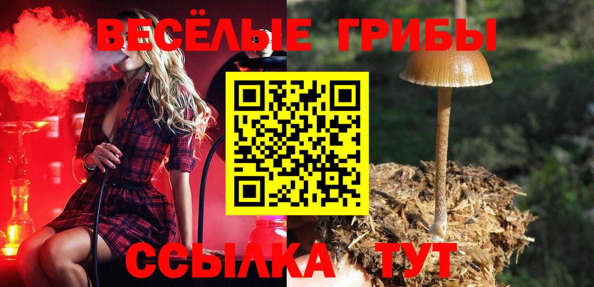 Псилоцибиновые грибы GOLDEN TEACHER Карталы